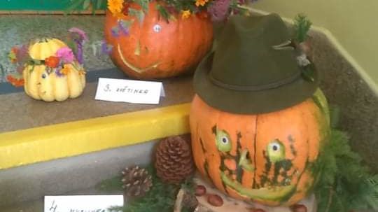 Výstava ovoce, zeleniny a květin